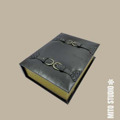 LIBRO COFRE